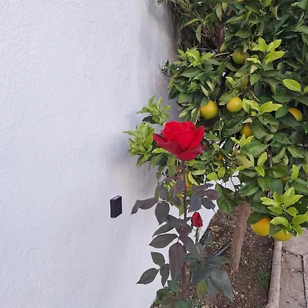 Aires De Gibalto Holiday home Malaga
